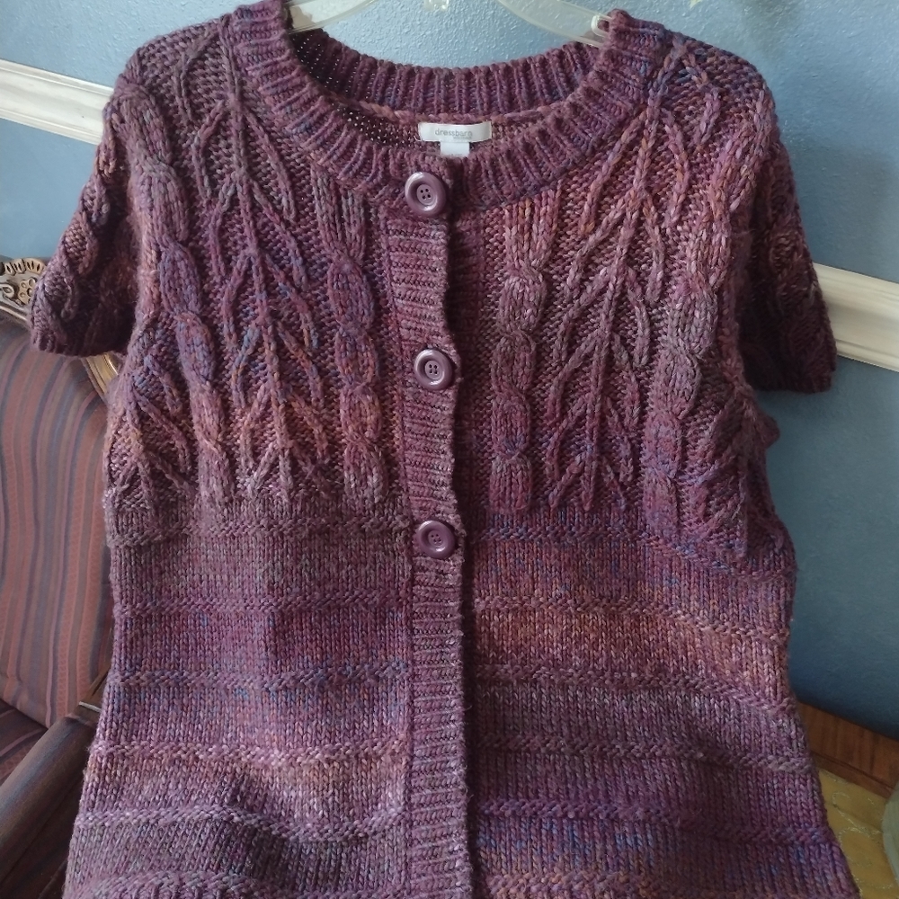 Dressbarn Winter Lady Short Sleeve Sweater
